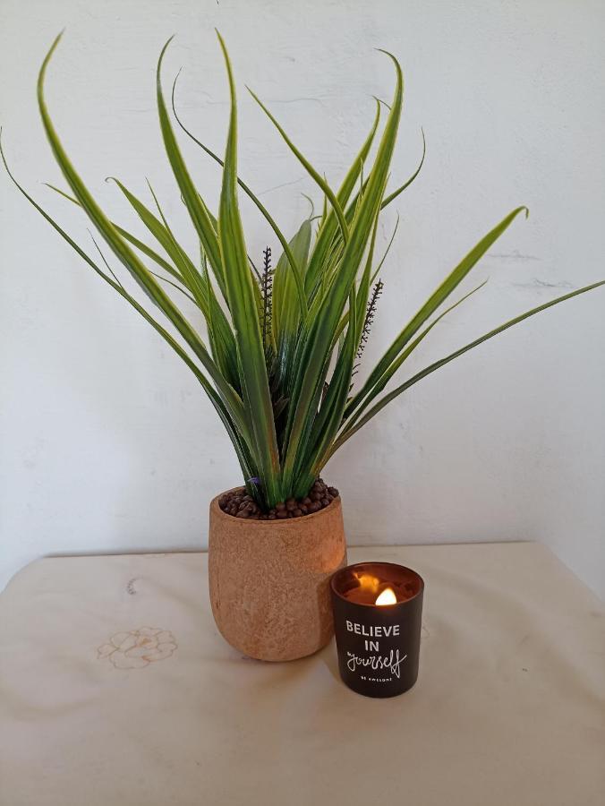 Skinés Chania Mini Villas מראה חיצוני תמונה
